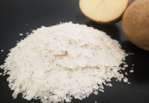 XION Boxed Potato Flakes Mashed Potatoes OEM Supply