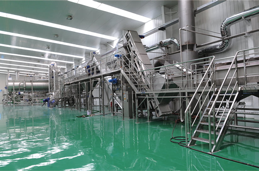 Is Investing in a China-Made Potato Flakes Production Line a Good Idea?